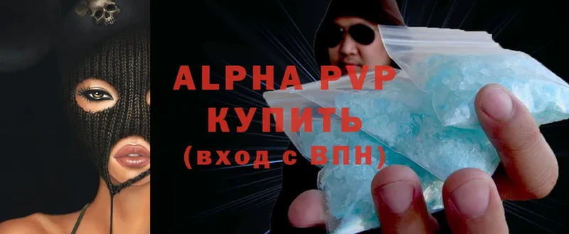 A-PVP СК Новодвинск