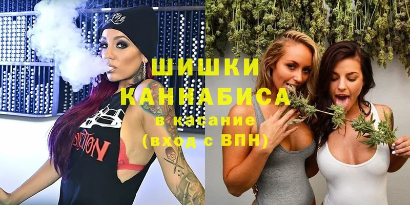 МАРИХУАНА сатива  Новодвинск 